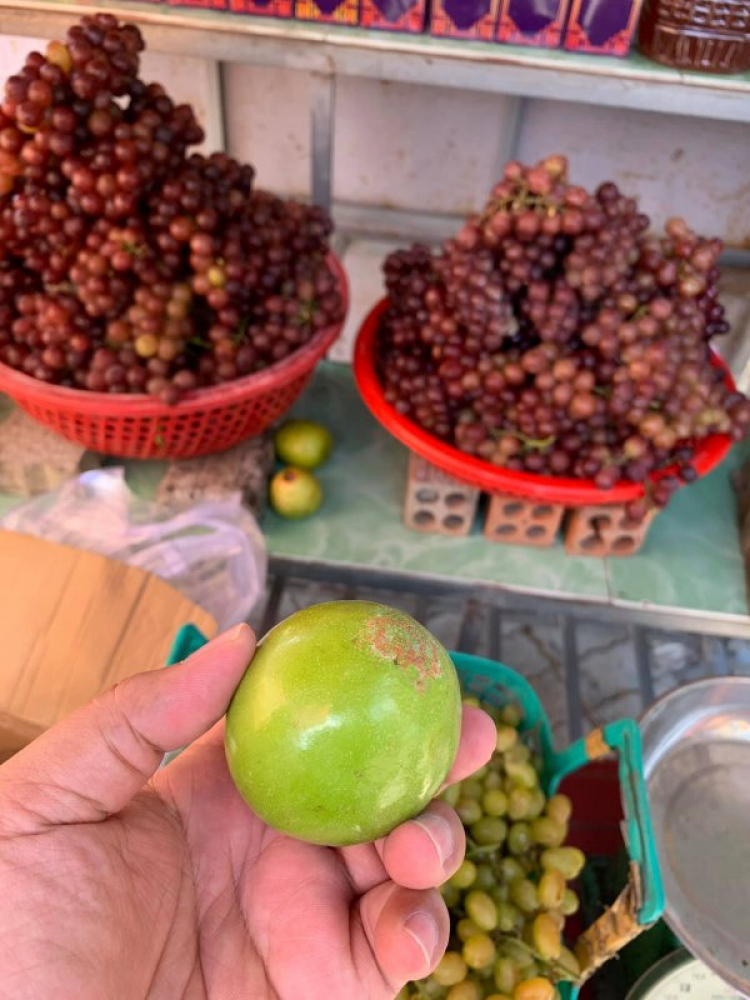 Hành trình về Quê ăn Tết 2019 (Biên Hòa - Đảo Lý Sơn) Hành trình về Quê ăn Tết 2019 (Biên Hòa - Đảo Lý Sơn)