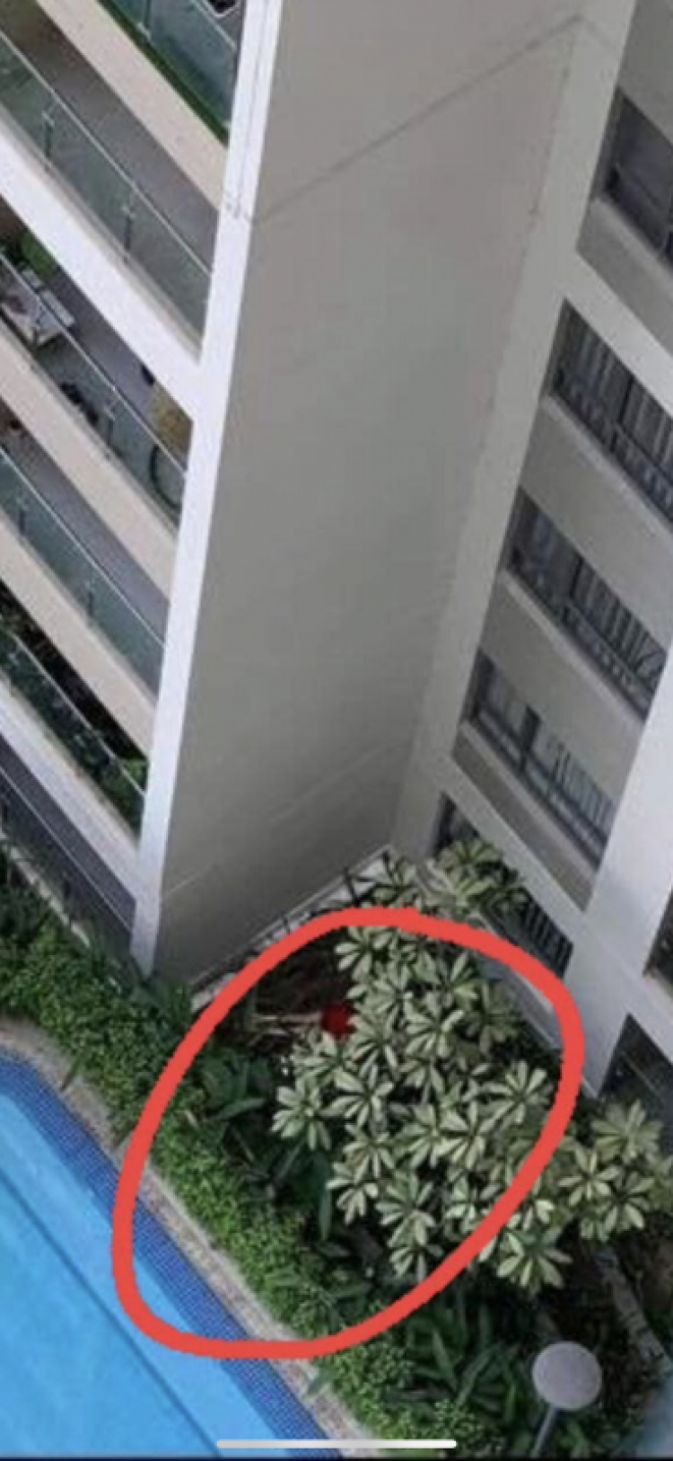 Kumathong là gì??? Kumathong là gì???