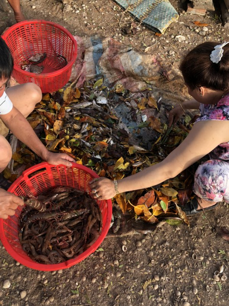 Bình Đại du kí đầu năm. Bình Đại du kí đầu năm.