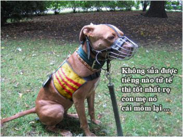 Vụ án Điện Biên (1): Hoang báo Vụ án Điện Biên (1): Hoang báo