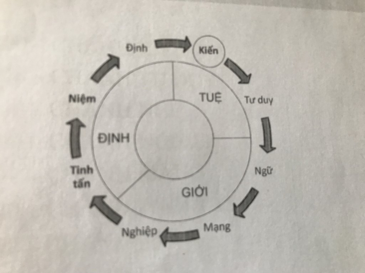 Thiền định và tu tập