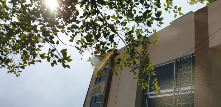 GlasWeld -Đánh bóng kính xe hơi xước, mờ, lóa mắt, tẩy ố mốc. Hàn kính nứt. GlasWeld -Đánh bóng kính xe hơi xước, mờ, lóa mắt, tẩy ố mốc. Hàn kính nứt.