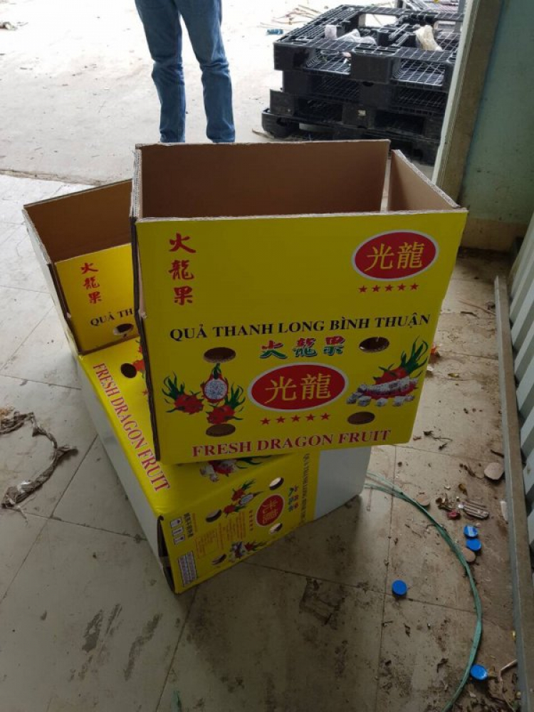Cần tìm nguồn xuất khẩu Thanh Long Cần tìm nguồn xuất khẩu Thanh Long