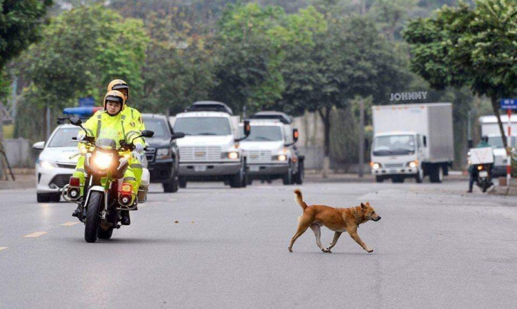 Đón anh Ủn ở ga Đồng Đăng. Đón anh Ủn ở ga Đồng Đăng.