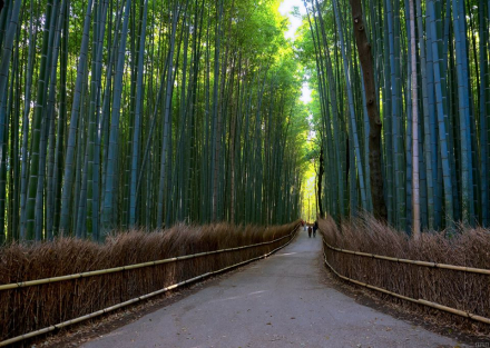 02 Arashiyama Kyoto.jpg