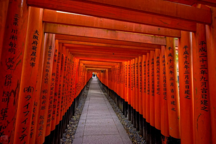 13 Fushimi Inari Shrine.jpg