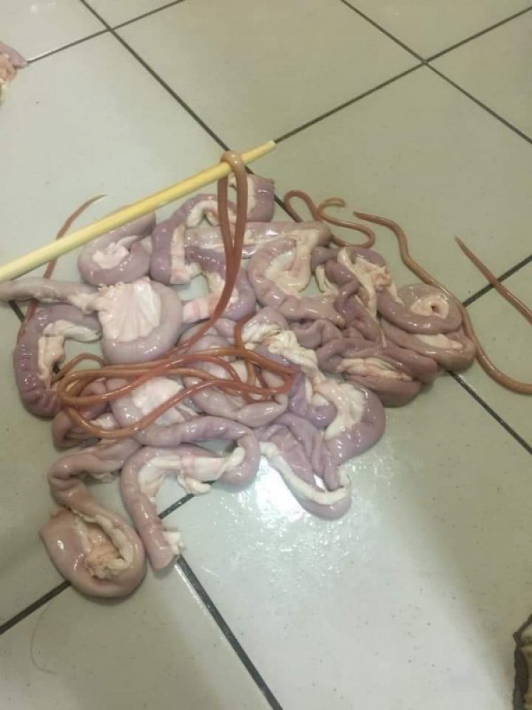 Xúc xích tươi làm món gì? Xúc xích tươi làm món gì?