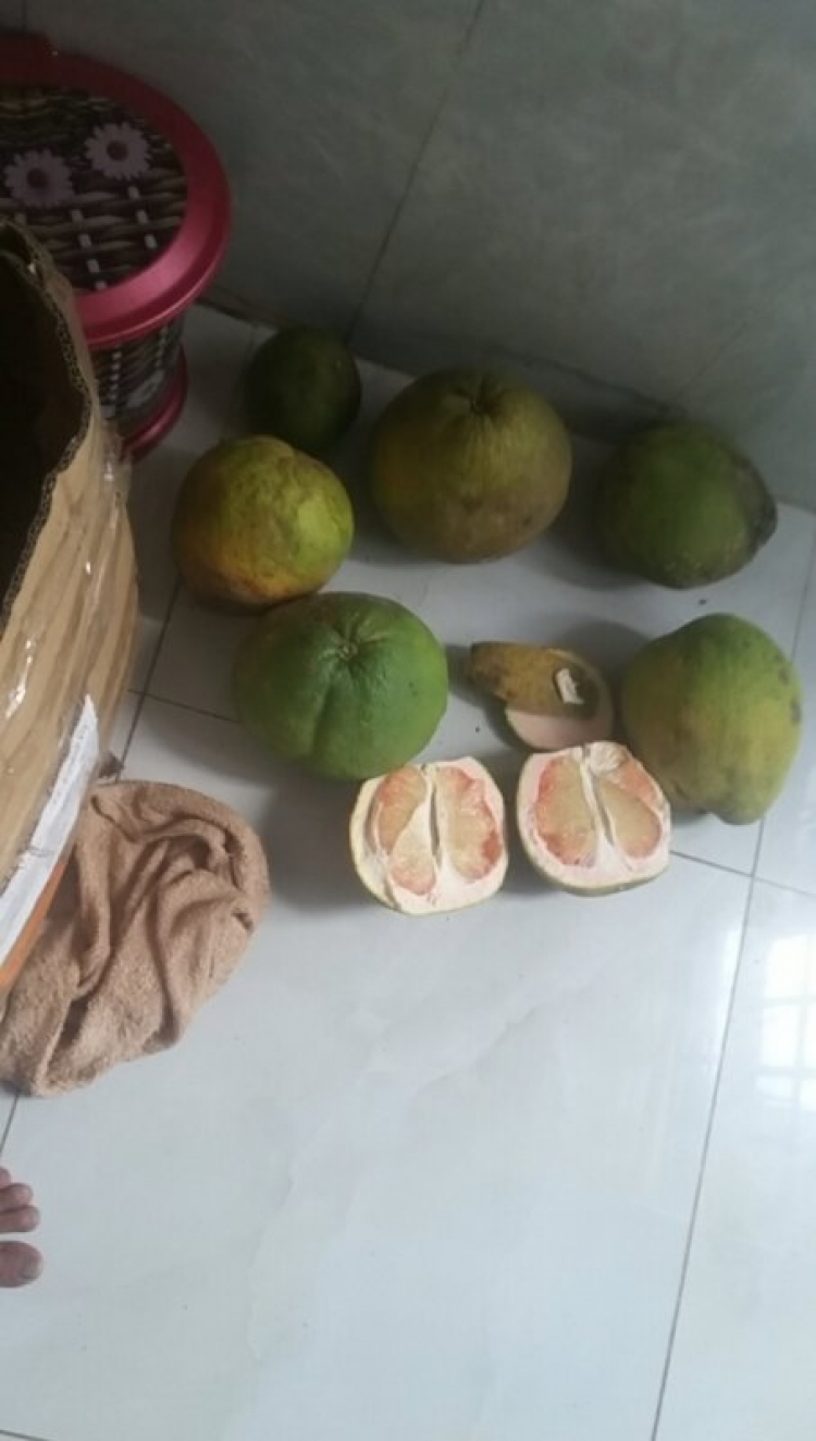 Jolie - Trên những nẻo đường Jolie - Trên những nẻo đường