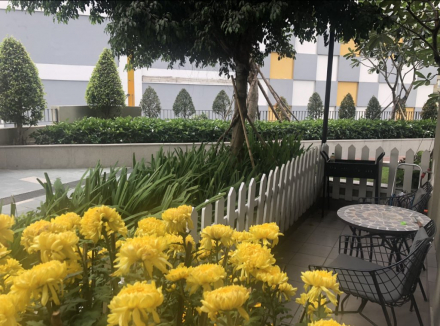 Căn hộ có terrace sân vườn