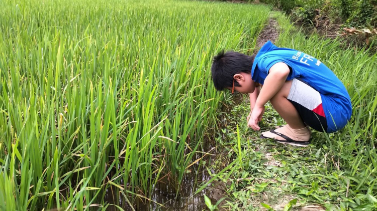 Dạo chơi miền Tây 05 năm ngày bằng xe cỏ Dạo chơi miền Tây 05 năm ngày bằng xe cỏ