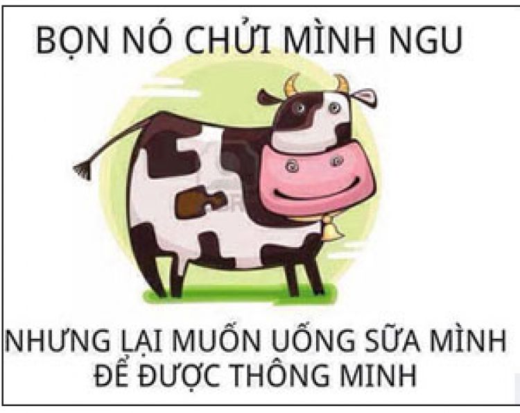 Lại xe gắn máy đấu đầu ô tô Lại xe gắn máy đấu đầu ô tô