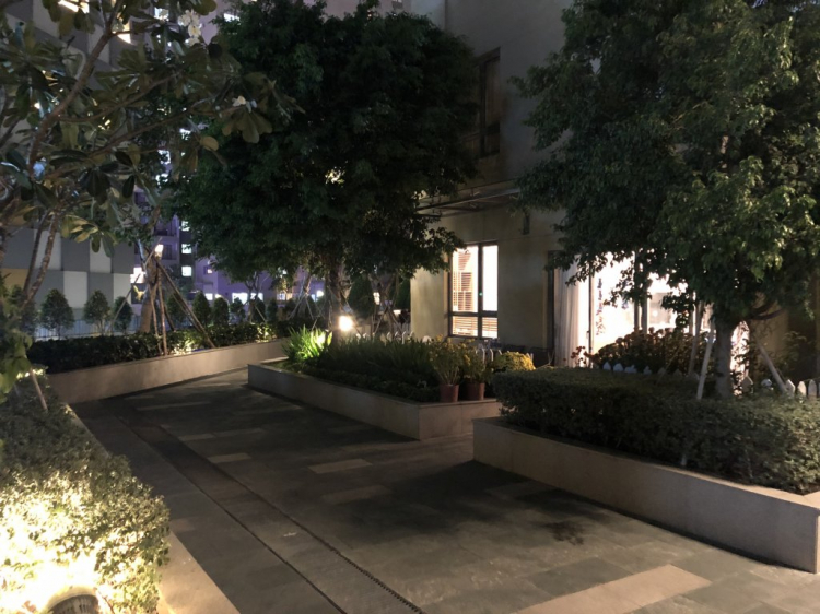 Căn hộ có terrace sân vườn Căn hộ có terrace sân vườn