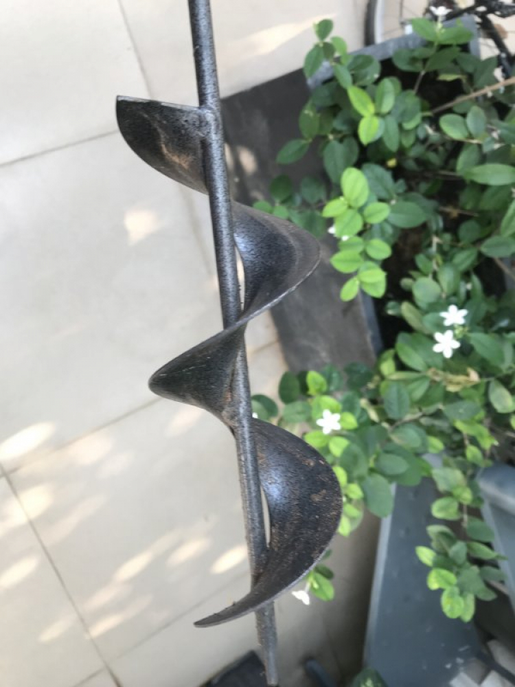 TRồng cây gì chịu nóng nắng trên sân thượng ?? TRồng cây gì chịu nóng nắng trên sân thượng ??