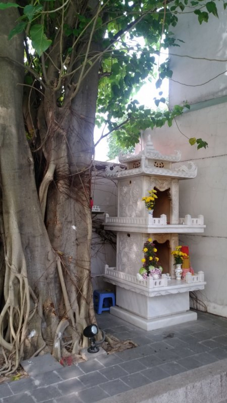 Căn hộ có terrace sân vườn Căn hộ có terrace sân vườn