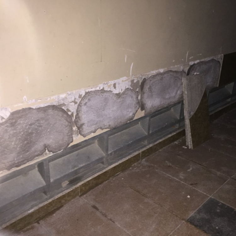 Xử lí gạch lát tầng trệt bị rộp