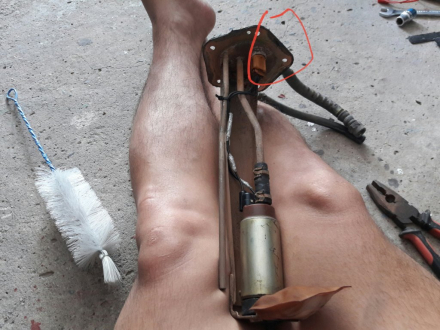20190307_221552.jpg