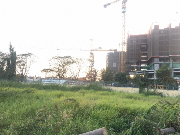 Eco Green Sài Gòn quận 7 Eco Green Sài Gòn quận 7