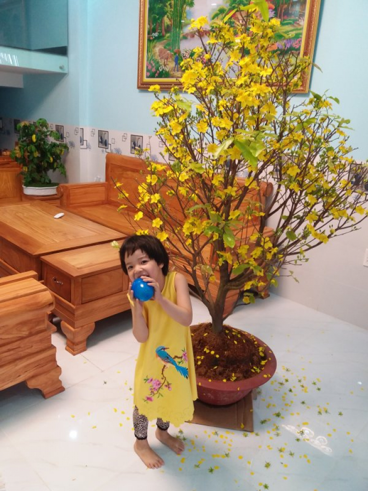 Chia sẻ kinh nghiệm thiết kế trang trí nhà cửa Chia sẻ kinh nghiệm thiết kế trang trí nhà cửa