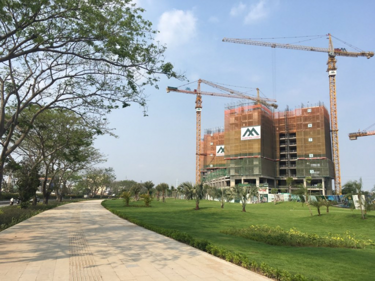 Eco Green Sài Gòn quận 7 Eco Green Sài Gòn quận 7
