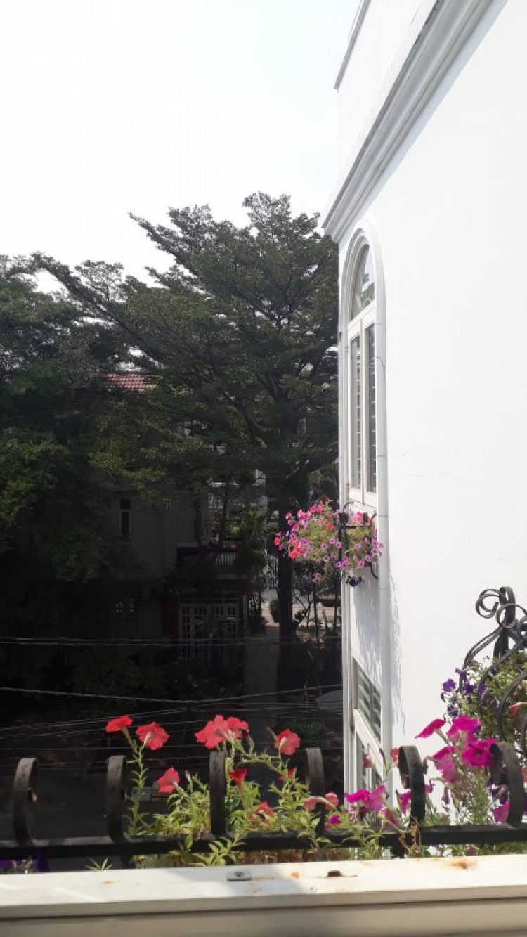 Bồn hoa trên sân thượng Bồn hoa trên sân thượng