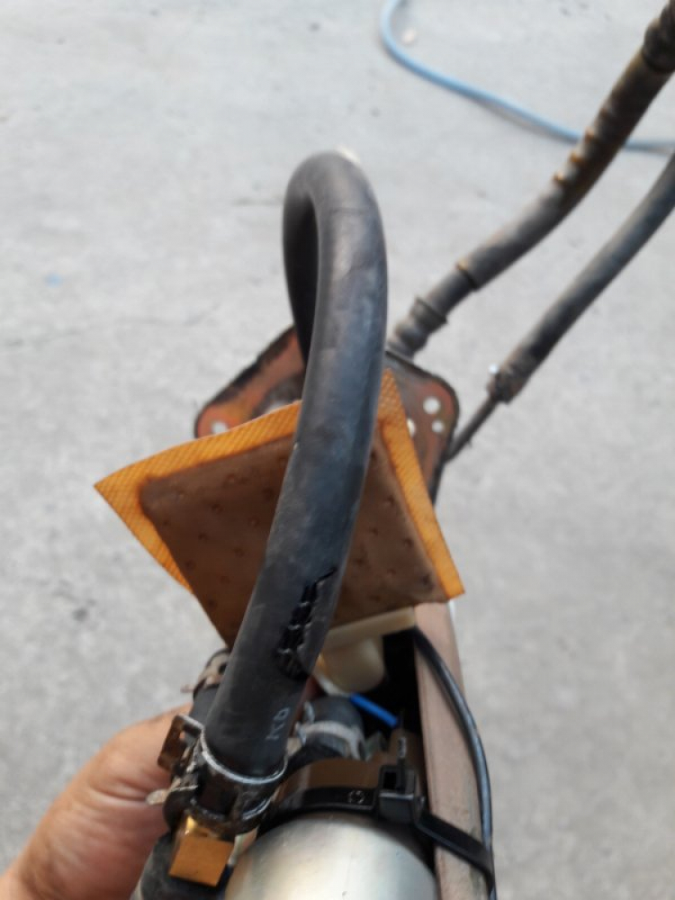 20190315_175229.jpg