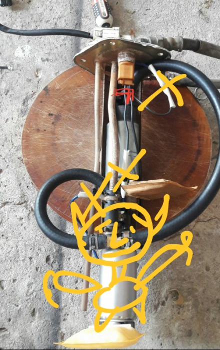 20190316_174124.jpg