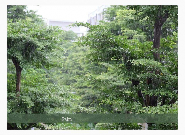 Hồ bơi nước mặn ở Sài Gòn Hồ bơi nước mặn ở Sài Gòn