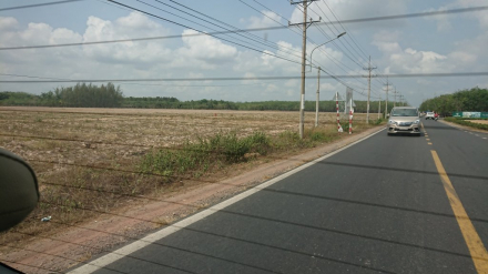 DSC_2215.JPG