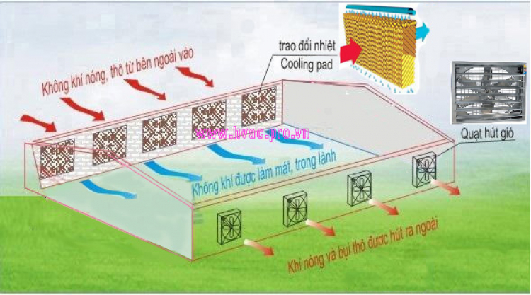 Quạt làm mát phòng như máy lạnh