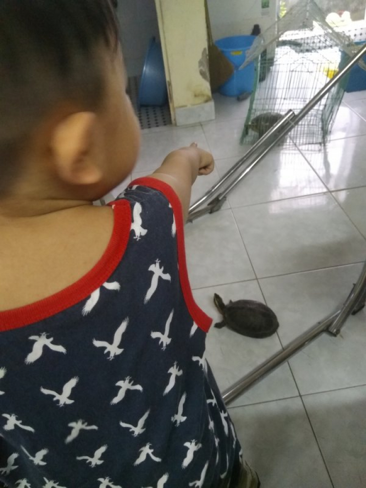 Câu hỏi khó cho cha mẹ Câu hỏi khó cho cha mẹ