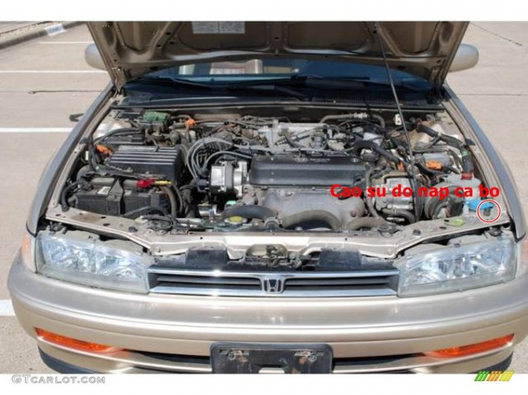 Đam mê honda accord 1990 Đam mê honda accord 1990