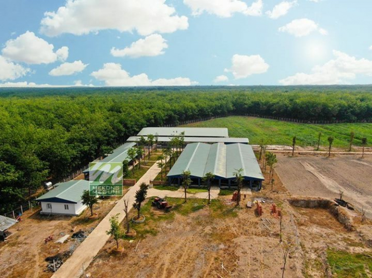 Điện năng lượng mặt trời áp mái Điện năng lượng mặt trời áp mái