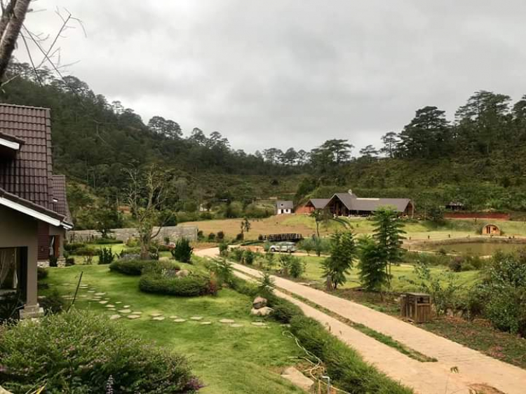 Tổng hợp các thớt về DALAT từ A đến Z Tổng hợp các thớt về DALAT từ A đến Z