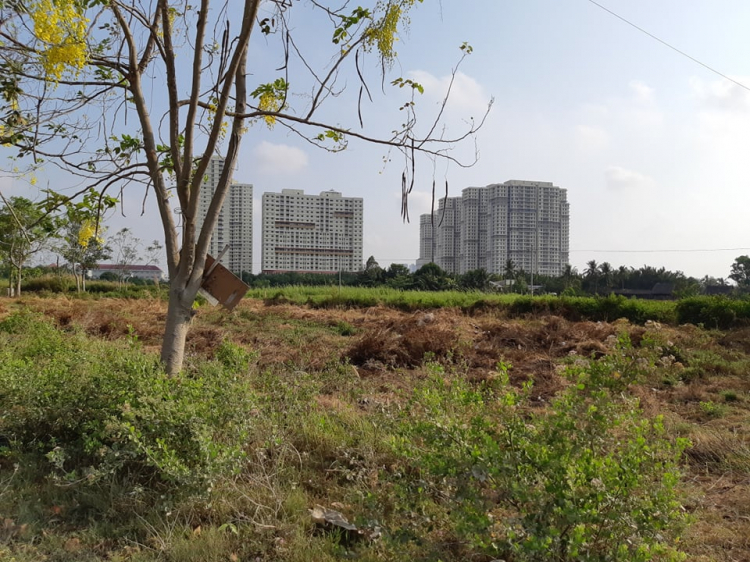 Tư vấn mua đất Phú Xuân, Nhà Bè Tư vấn mua đất Phú Xuân, Nhà Bè
