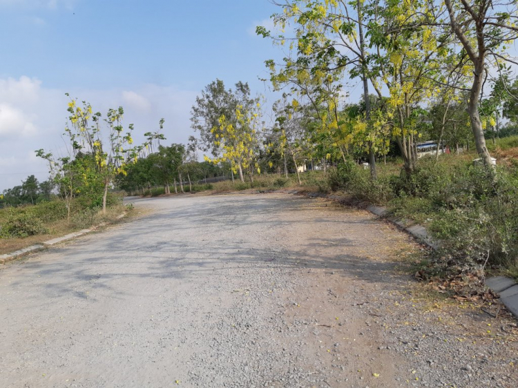 Tư vấn mua đất Phú Xuân, Nhà Bè Tư vấn mua đất Phú Xuân, Nhà Bè