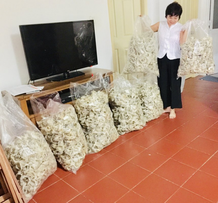 Mua yến sào ở đâu tốt và chất lượng? Mua yến sào ở đâu tốt và chất lượng?