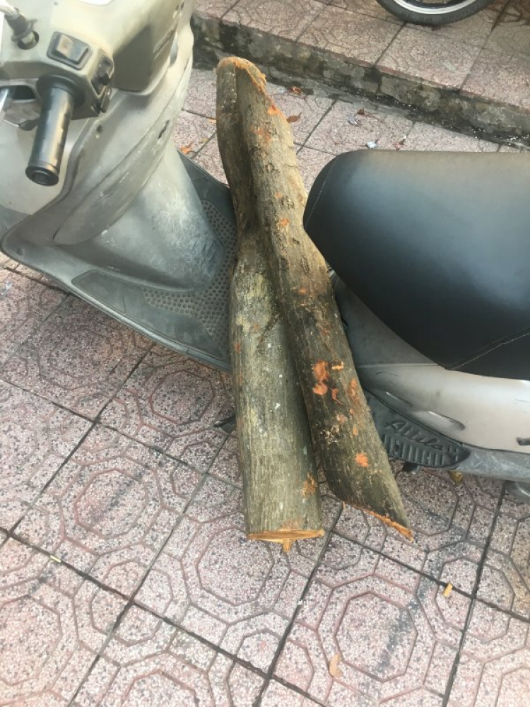 Chỗ bán đồ tự vệ Chỗ bán đồ tự vệ