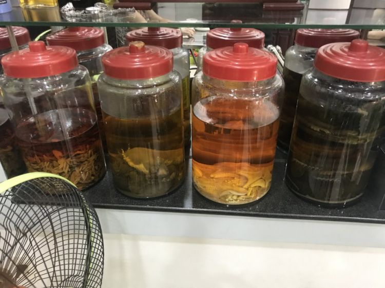 Cách chế biến Sâm cau Cách chế biến Sâm cau