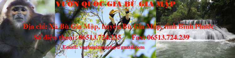 {TIỀN TRẠM}: ngày 17/1: Bù Gia Mập, về với những cánh rừng bạt ngàn,thả mình vào thiên nhiên {TIỀN TRẠM}: ngày 17/1: Bù Gia Mập, về với những cánh rừng bạt ngàn,thả mình vào thiên nhiên