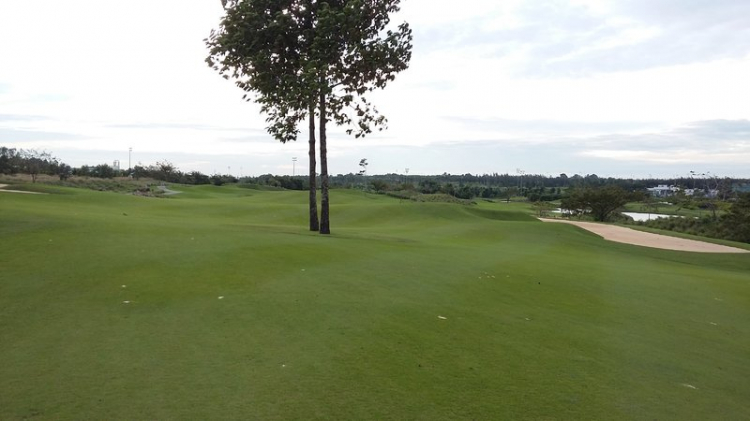 Câu lạc bộ Golf SFC Câu lạc bộ Golf SFC