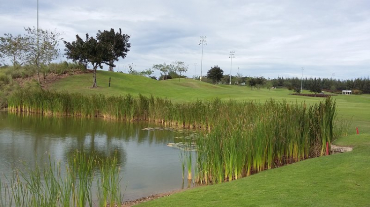 Câu lạc bộ Golf SFC Câu lạc bộ Golf SFC