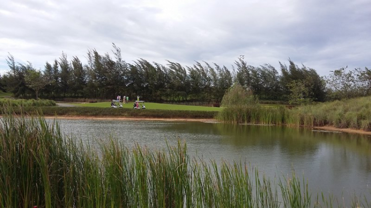 Câu lạc bộ Golf SFC Câu lạc bộ Golf SFC