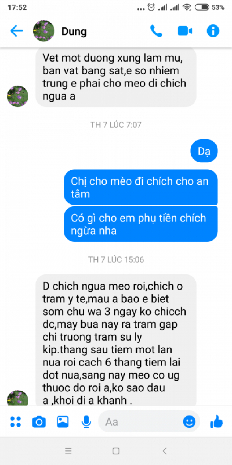 Hóng chia sẻ cách dạy con