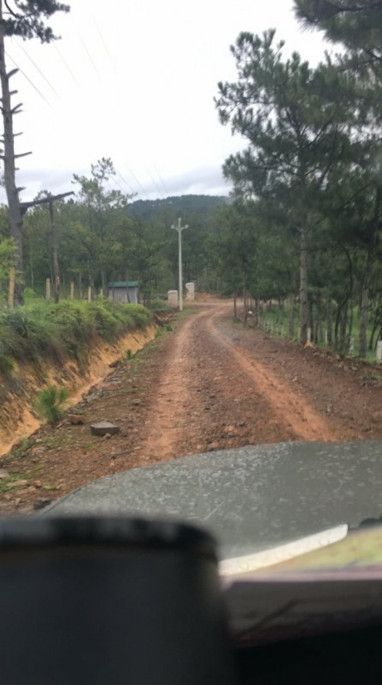 Tổng hợp các thớt về DALAT từ A đến Z Tổng hợp các thớt về DALAT từ A đến Z