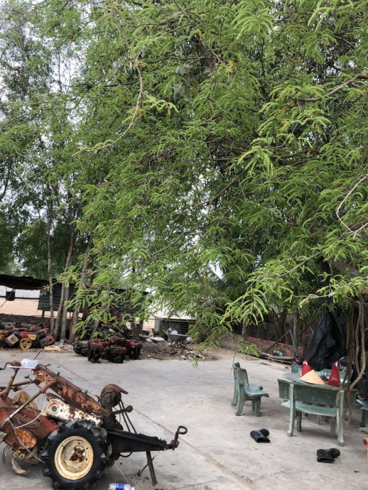 tìm quán Lẩu cá ngon tìm quán Lẩu cá ngon
