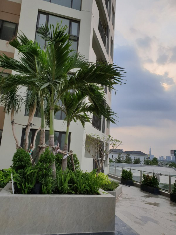 Q.9 - Mua nhà đất cho các cụ Q.9 - Mua nhà đất cho các cụ