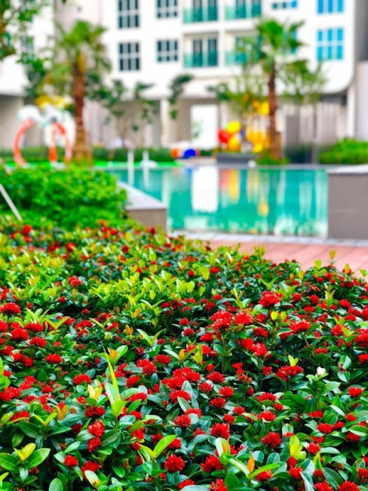Với 5 tỉ em nên mua City garden không ? Với 5 tỉ em nên mua City garden không ?