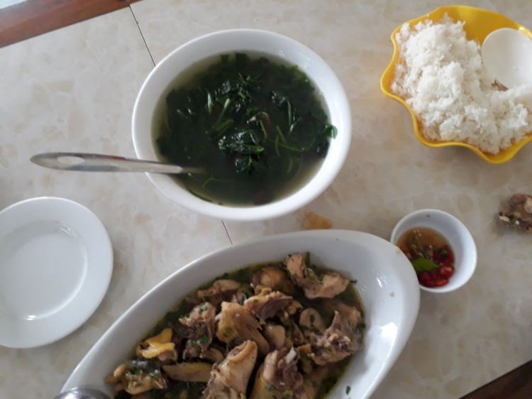 Xuyên Việt: Em đi chữa bệnh Sài Gòn - Thanh Hóa Xuyên Việt: Em đi chữa bệnh Sài Gòn - Thanh Hóa