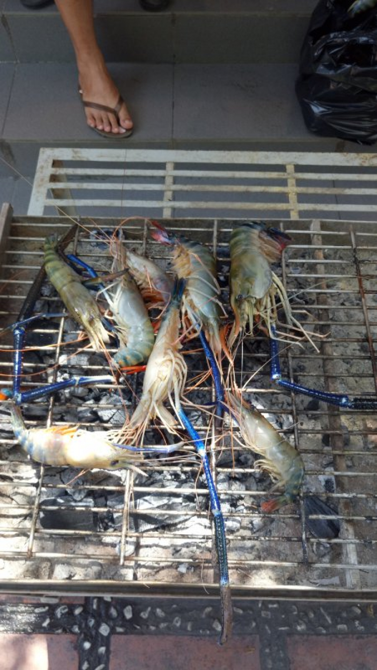 Tôm sắt Tôm sắt