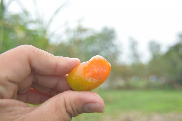 Xuyên Việt: Em đi chữa bệnh Sài Gòn - Thanh Hóa Xuyên Việt: Em đi chữa bệnh Sài Gòn - Thanh Hóa